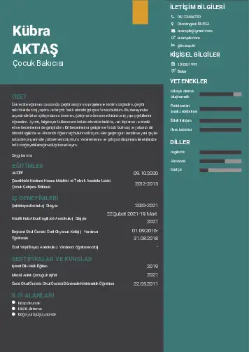 Çocuk Bakıcısı CV Örnekleri cv indir